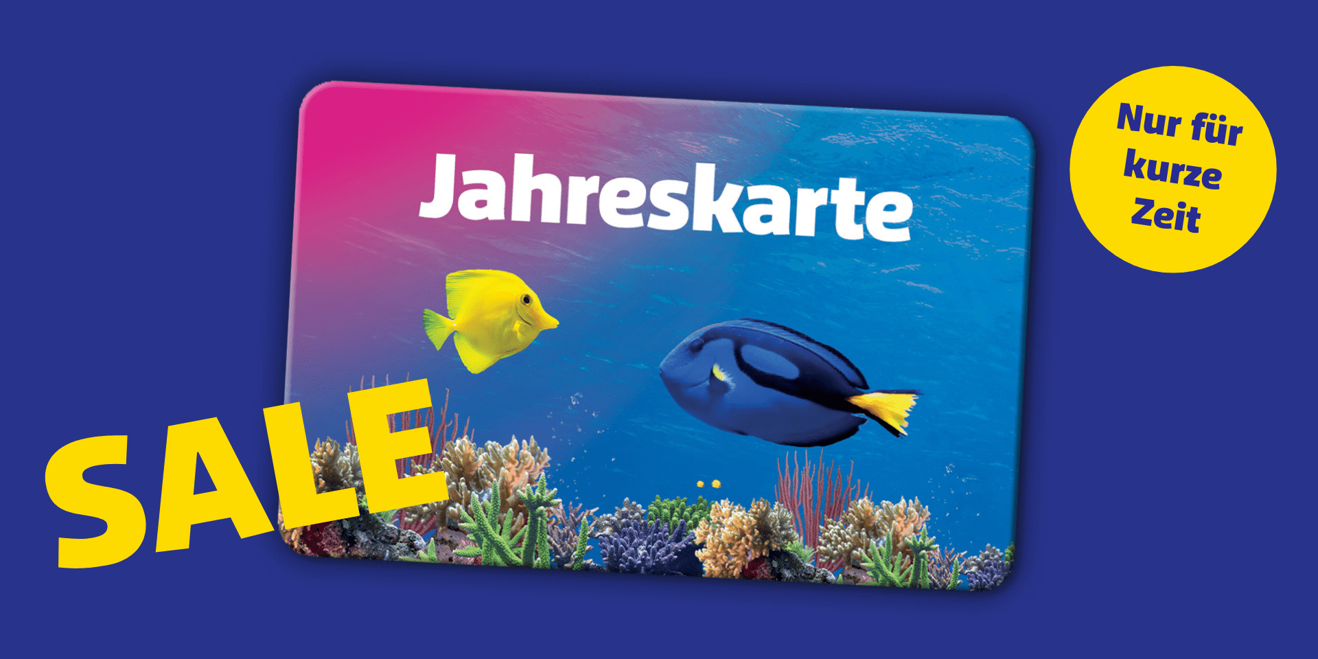 SEA LIFE Hannover Jahreskarten SALE Verlängert 1920X960