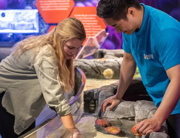 Sealife Speyer Entdeckerbecken