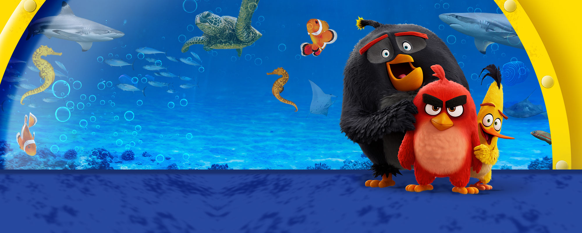 SEALIFE ANGRY BIRDS Homepage Header 2000X800px