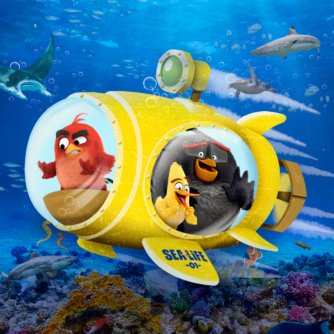 ANGRY BIRDS In Submarine