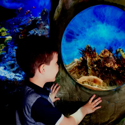 Quiet At The Aquarium (002)