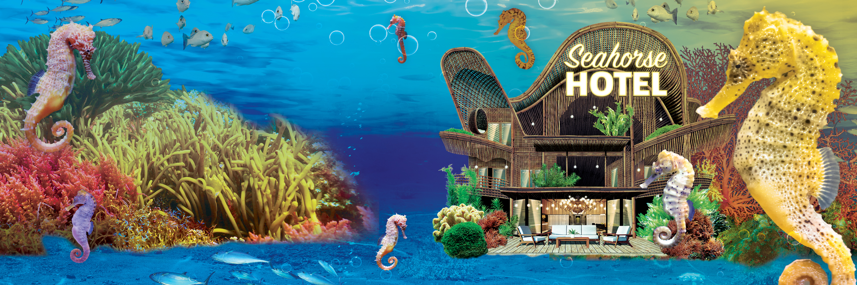 SEALIFE SEAHORSES Event Page Header 3000X1000px (1)