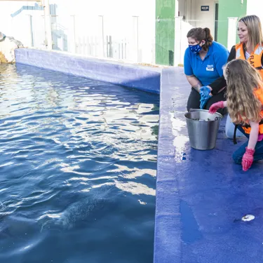 Sealife Hunstanton 047