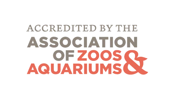Aza Accredited