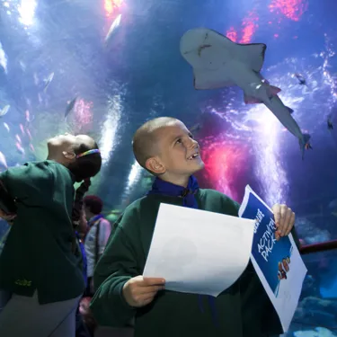 Sealife Schools Programs Activitypacks | SEA LIFE Aquarium