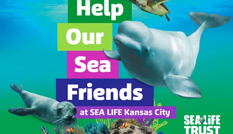 Help Our Sea Friends SLKC