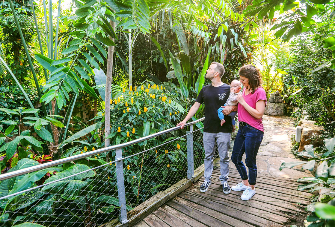 SLHAN Familie Im Regenwald Mobile