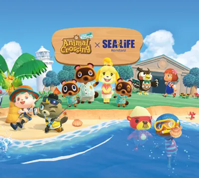 Animal Crossing Website