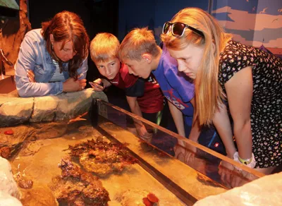 Entdeckerbecken SEA LIFE Konstanz