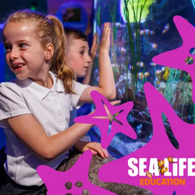 WEB Schools Image Starfish 742X668px