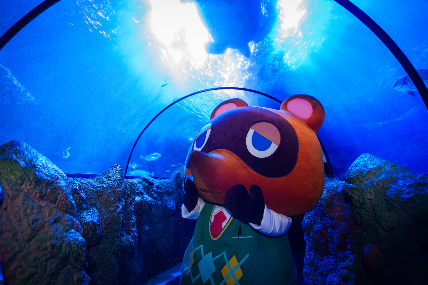 Tom Nook inside SEA LIFE London's Ocean Tunnel during the Animal Crossing event.