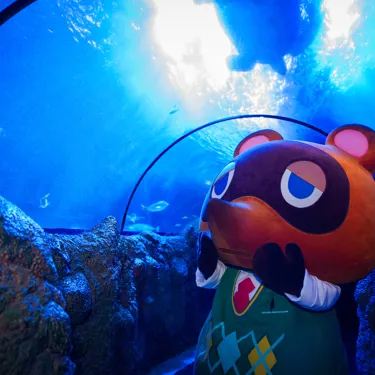 Tom Nook inside SEA LIFE London's Ocean Tunnel during the Animal Crossing event.