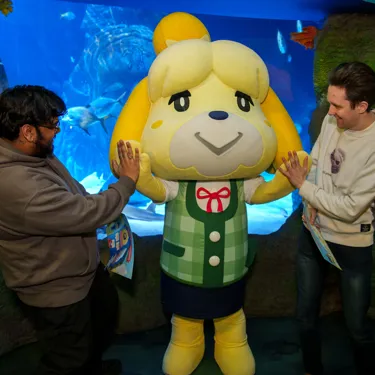 Animal Crossing SEA LIFE Isabelle