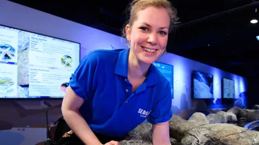 Animal care