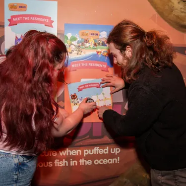 Animal Crossing SEA LIFE Stamp Rally