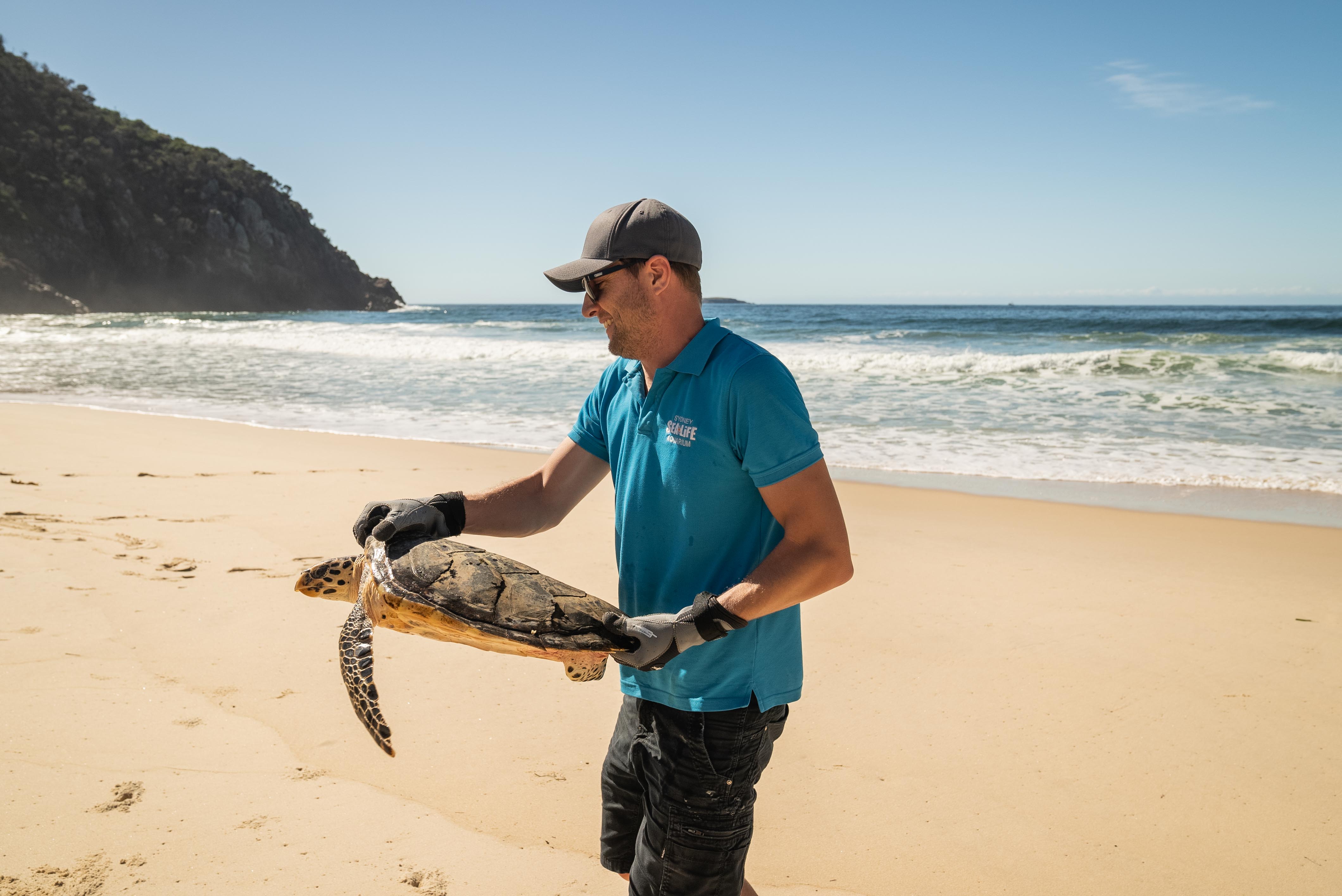 Ben Wynand With Avalon Sealife Turtle 10