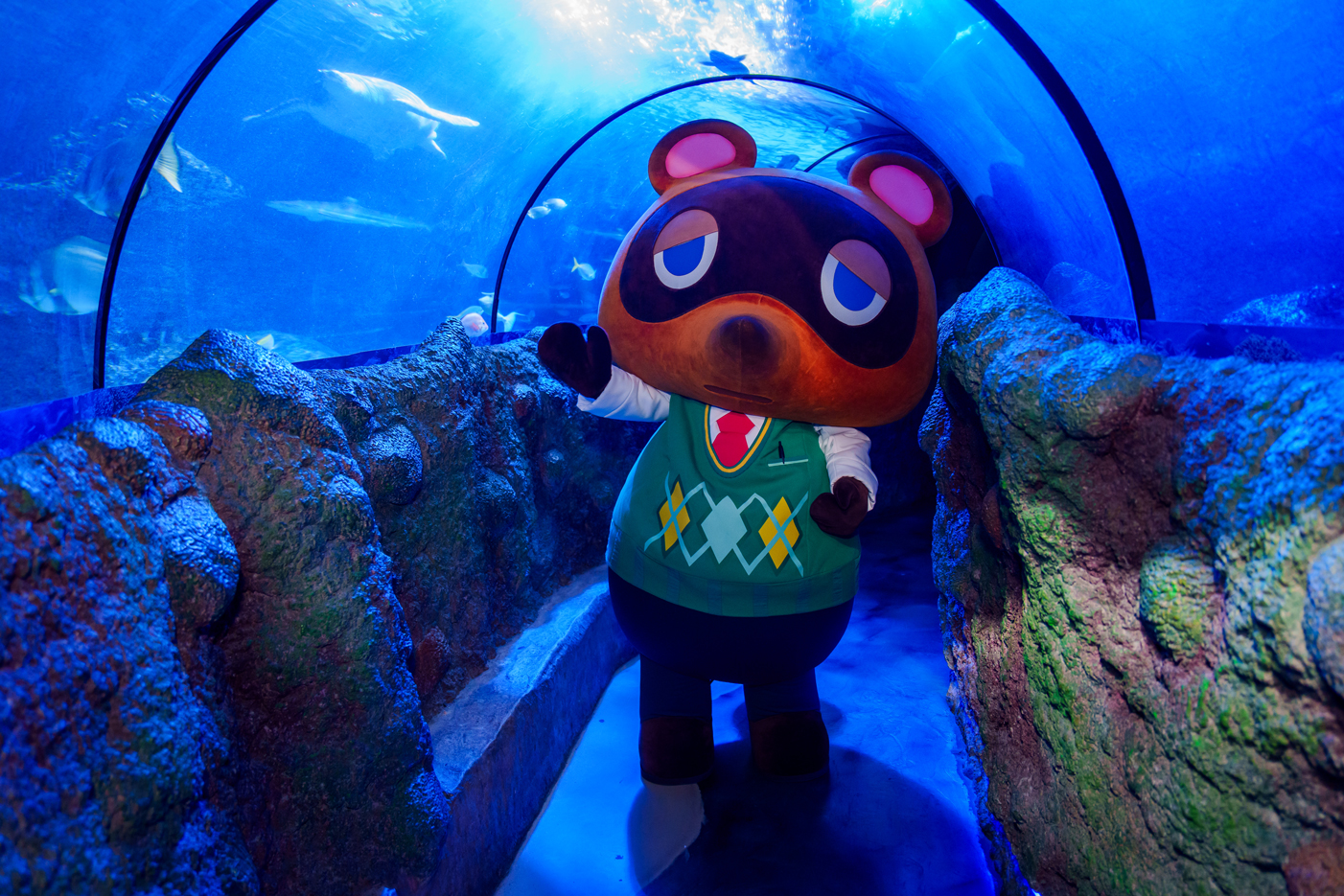 Animal Crossing SEA LIFE Tom Nook Tunnel