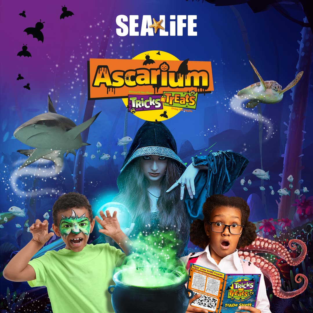 Ascarium