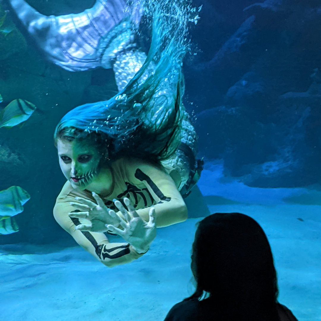 Ticket Deals | SEA LIFE Manchester Aquarium