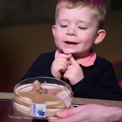 Touch a Chocolate Chip Starfish at SEA LIFE Manchester Aquarium