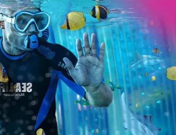 Snorkel Sharks L Version