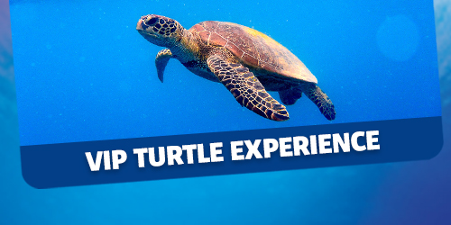 Tickets & Prices | SEA LIFE Manchester Aquarium