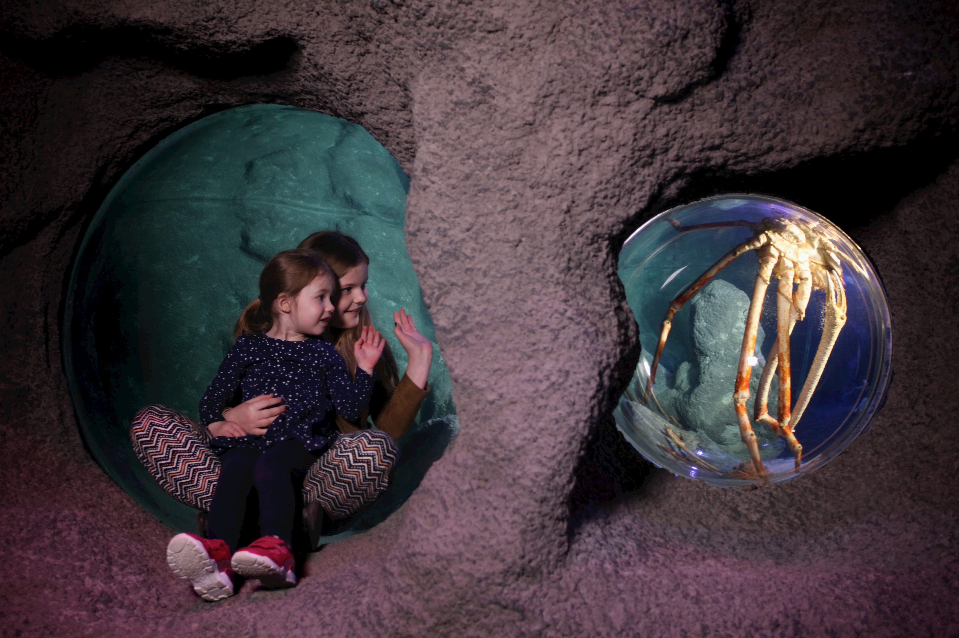 Children at the Giant Crab zone at SEA LIFE Manchester