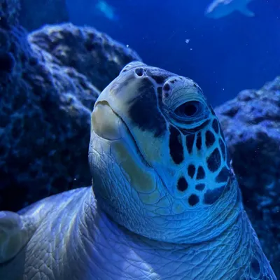 IMG 20240730 WA0001 (1)