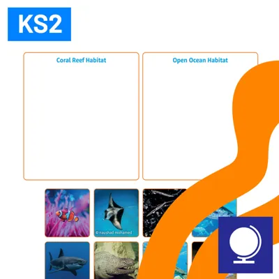 SL Coral Reef Or Open Ocean 1080X1080