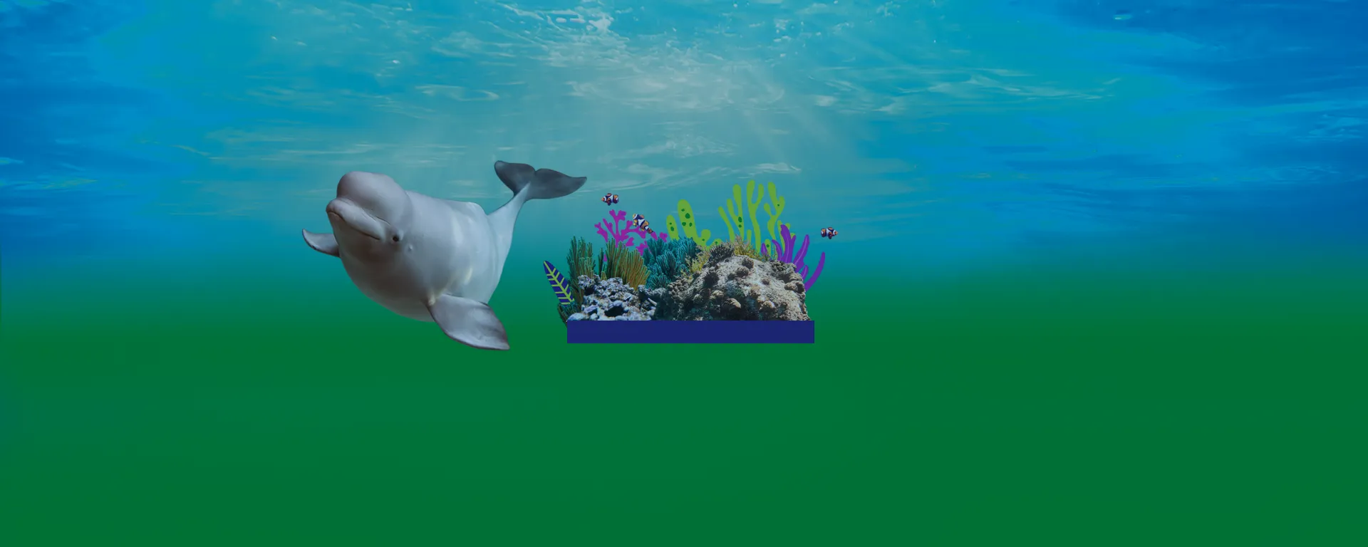 Header Strips 1920X768 Whale