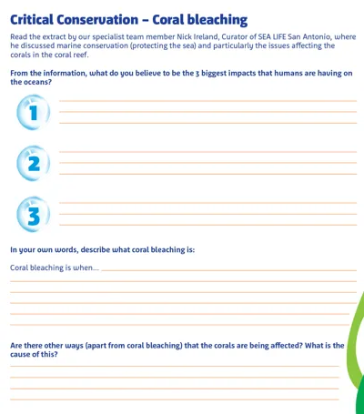 KS3 Critical Conservation 950X1080