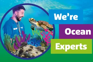 We Are Ocean Experts 1200X700