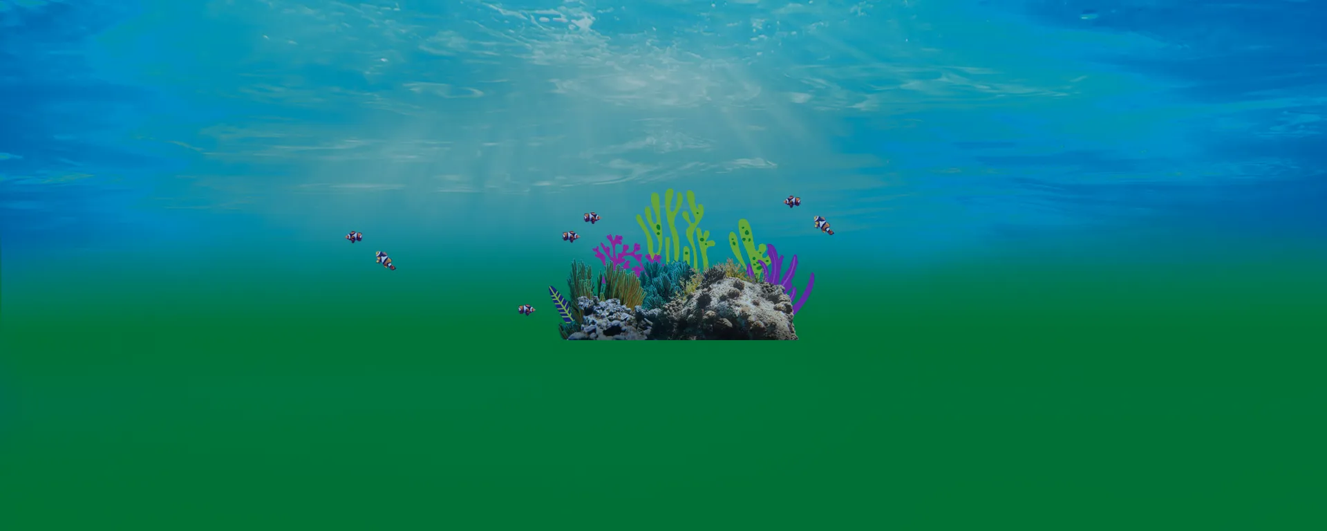 Header Strips 1920X768 Reef