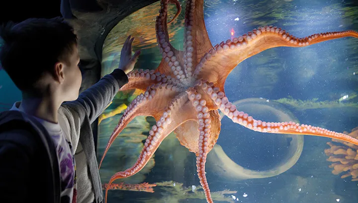 Blog #3 Hero Image 720X410px