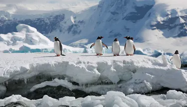 SL Blog #6 Image 1 720X410px