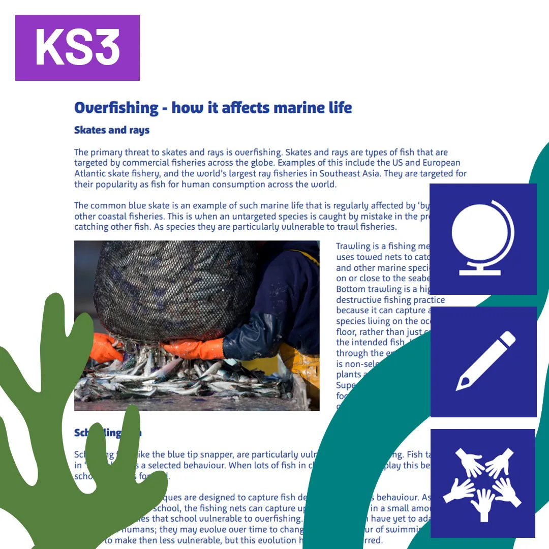 SL Animals In Danger 1080X1080