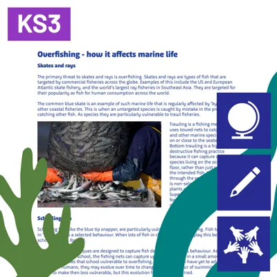 SL Animals In Danger 1080X1080