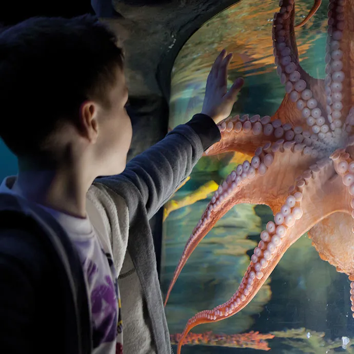 Blog #3 Hero Image 690X690px