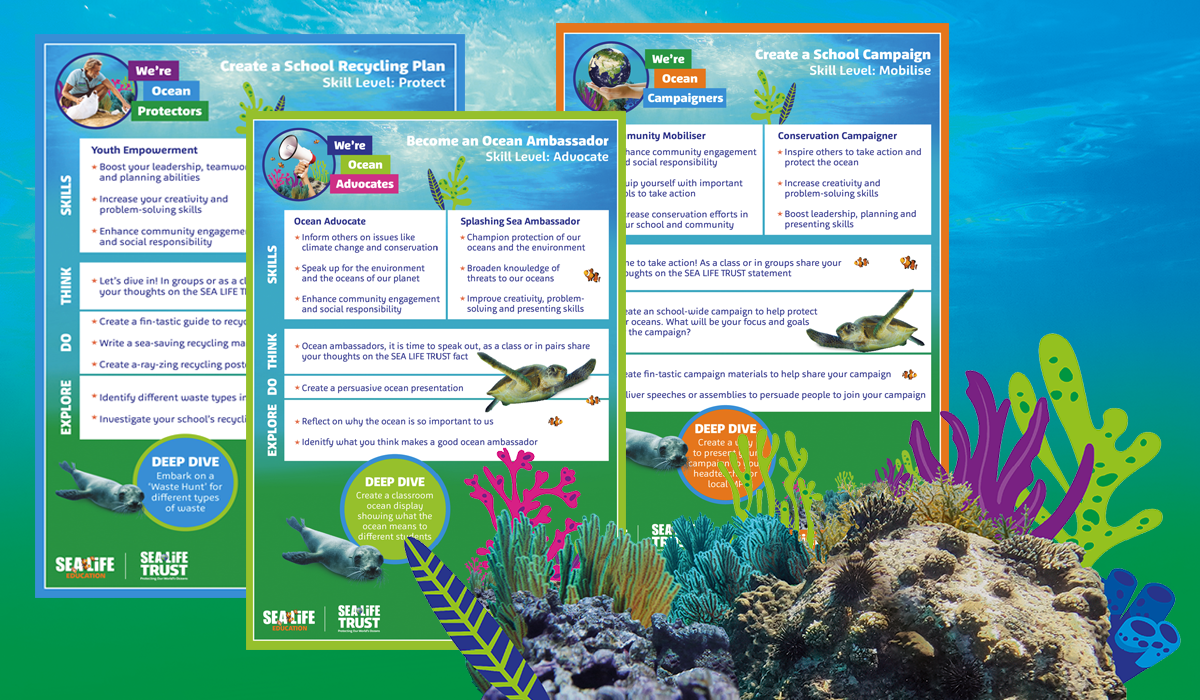 Friends Of The Sea Challenge Cards 1200X700