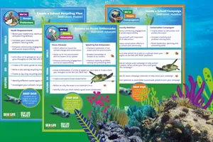 Friends Of The Sea Challenge Cards 1200X700