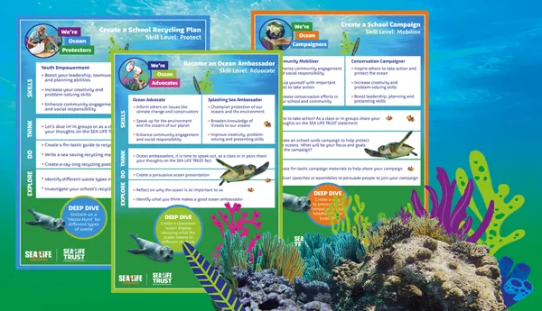 Friends Of The Sea Challenge Cards 1200X700