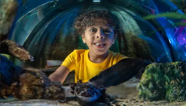 Blog #1 Hero Image 720X410px