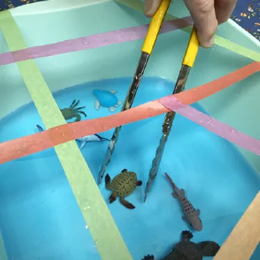 Sea Creature Rescue