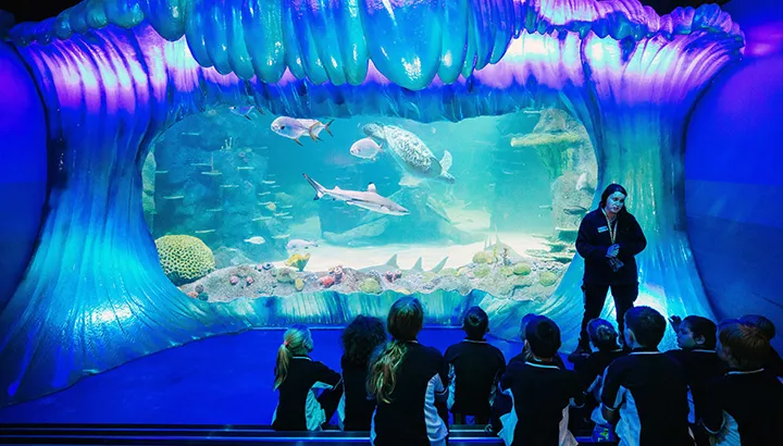 Blog #2 Hero Image 720X410px