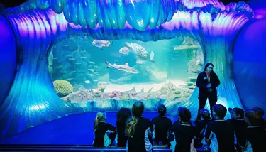 Blog #2 Hero Image 720X410px