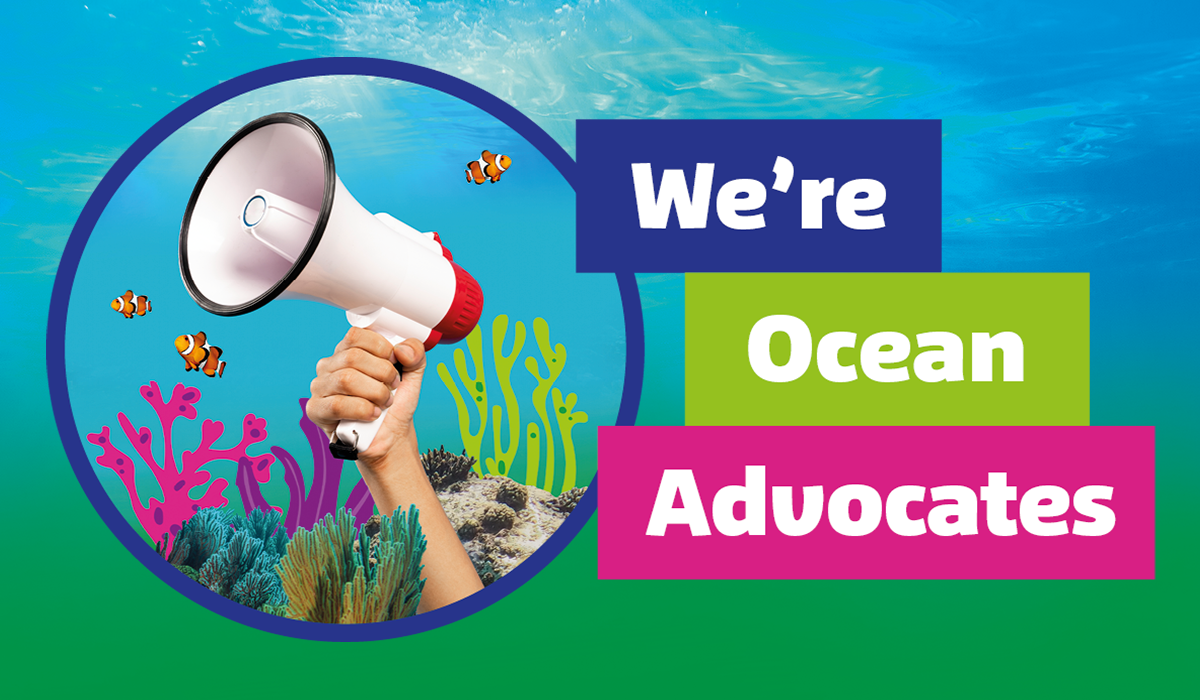 We Are Ocean Advocates 1200X700