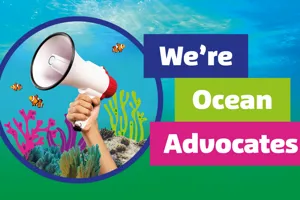 We Are Ocean Advocates 1200X700