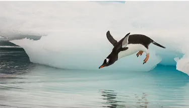 SL Blog #6 Image 3 720X410px