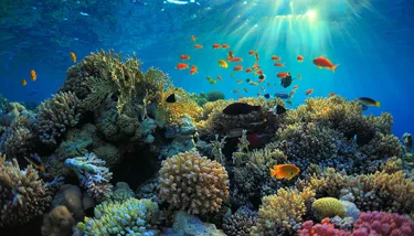 Blog #4 Image#2 720X410px