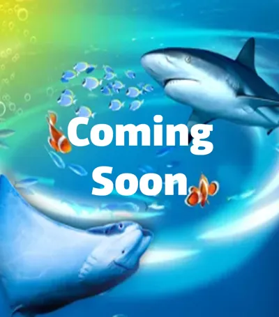 Coming Soon Resource 950X1080